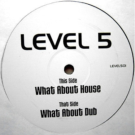 Level 5 : What About House (12")