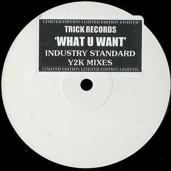 Industry Standard (2) : What U Want (Y2K Mixes) (12", Ltd, W/Lbl, Sti)