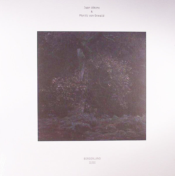 Juan Atkins & Moritz Von Oswald : Borderland II/III (12", Ltd)