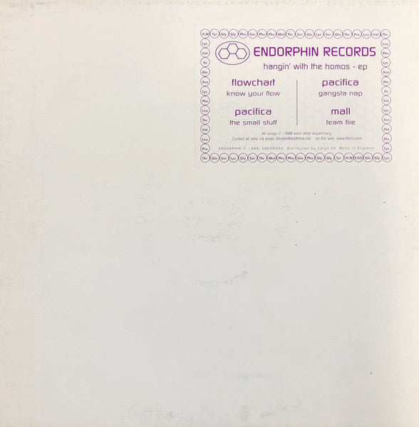 Flowchart / Pacifica / Mall : Hangin' With The Homos (12", EP)