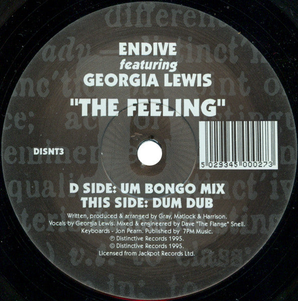 Endive featuring Georgia Lewis : The Feeling (12")