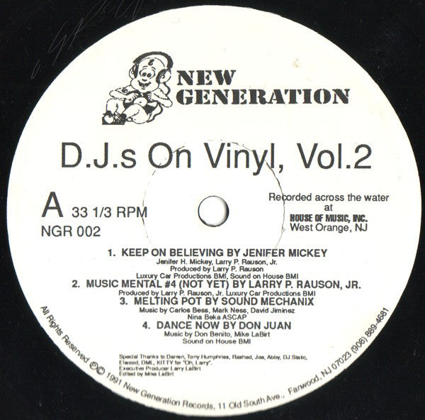 Various : D.J.s On Vinyl, Vol. 2 (12")