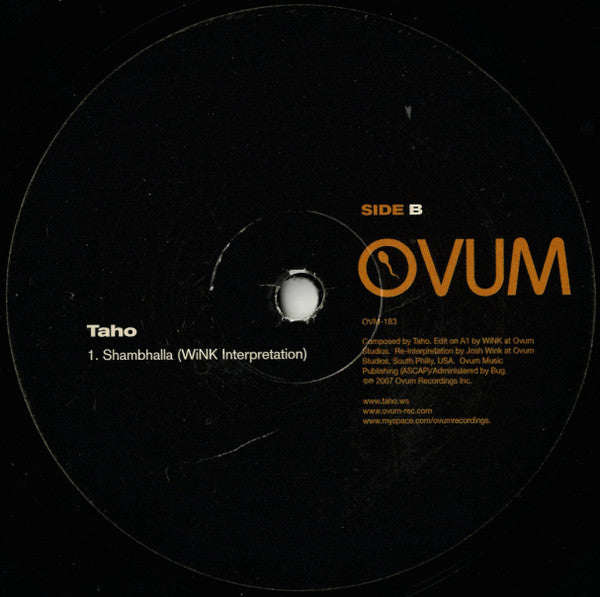 Taho : The Hybrids / Shambhalla (12")