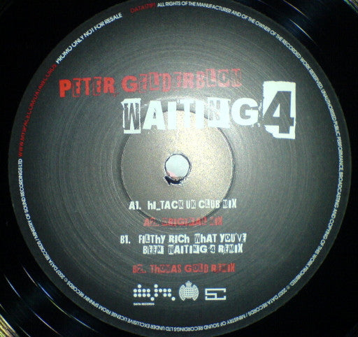 Peter Gelderblom : Waiting 4 (12", Single, Promo)