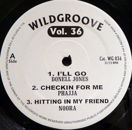 Various : Wildgroove Vol. 36 (12")