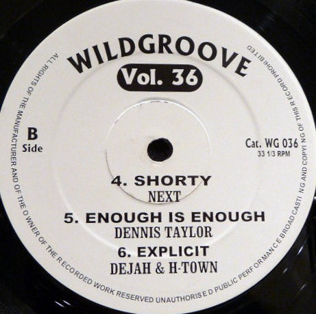 Various : Wildgroove Vol. 36 (12")