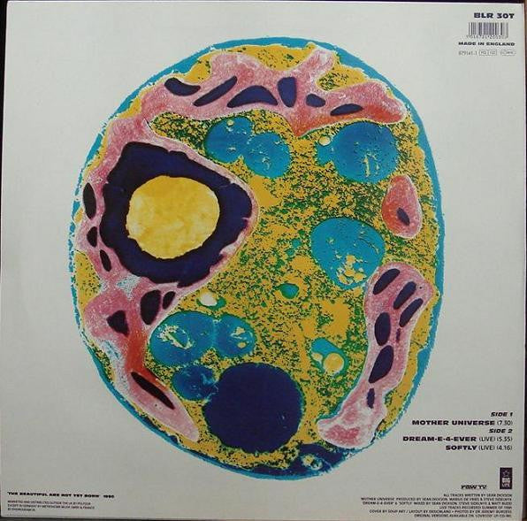 The Soup Dragons : Mother Universe (12", Single)