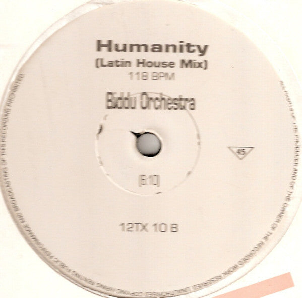 Biddu Orchestra Featuring Erica Holland : Foundation Of Love (12", Promo)