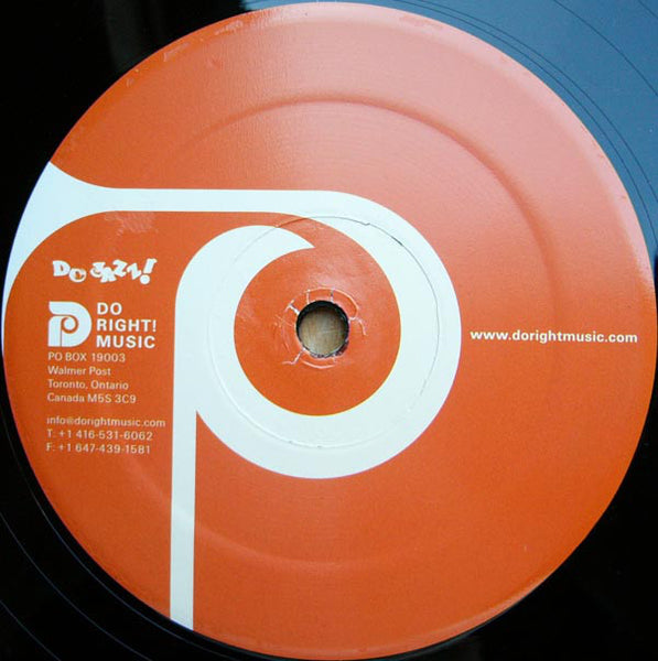 Elizabeth Shepherd Trio : Start To Move Album Sampler (12", EP)