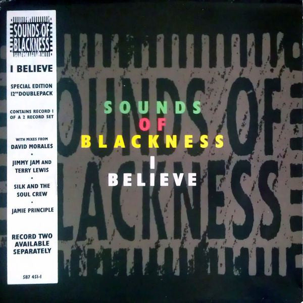 The Sounds Of Blackness* : I Believe (12", Single)