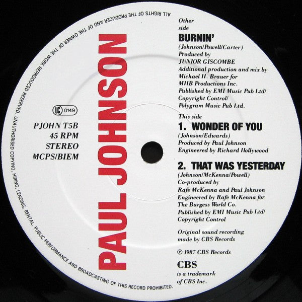 Paul Johnson (2) : Burnin' (Extended Mix) (12", Single)