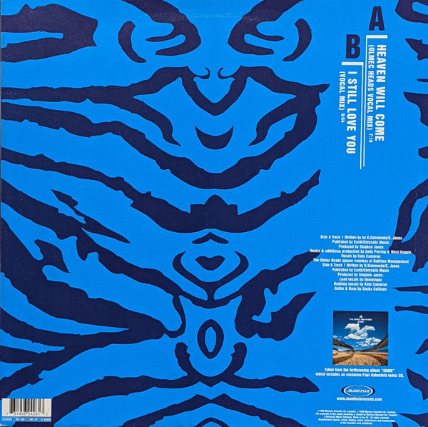 The Space Brothers : Heaven Will Come (12")