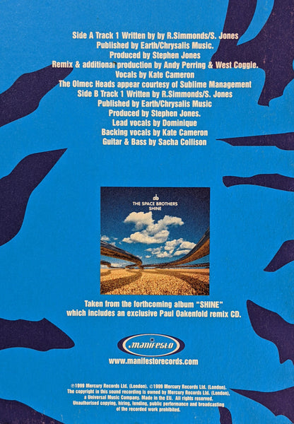 The Space Brothers : Heaven Will Come (12")