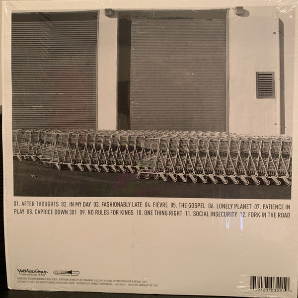 Oddisee : The Beauty In All (LP, Album, RE)