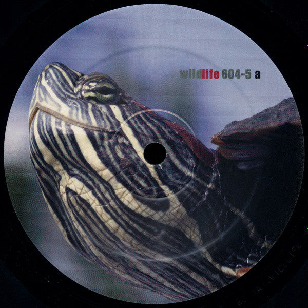 Swift Movers : Sonic Regret / Glide (12")