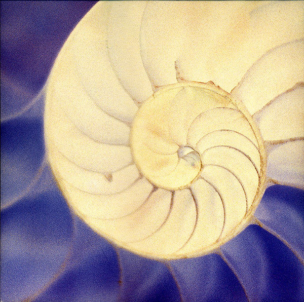 System 7 : System 7 (2xLP, Album, Ltd)