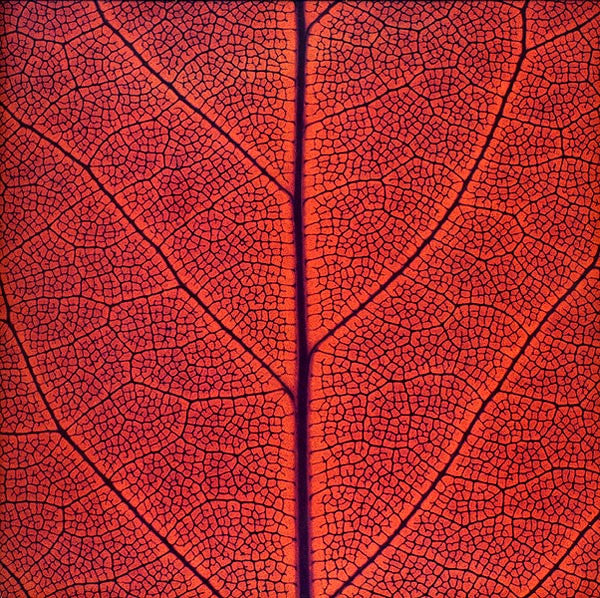 System 7 : System 7 (2xLP, Album, Ltd)