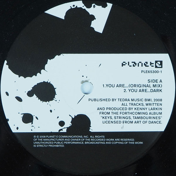 Kenny Larkin : You Are... (12")