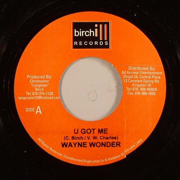 Wayne Wonder : U Got Me (7")