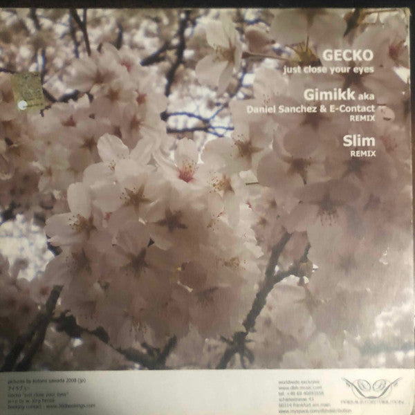 Gecko : Just Close Your Eyes 2.8 (12")