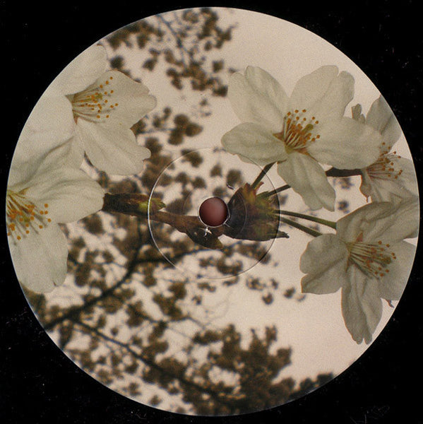 Gecko : Just Close Your Eyes 2.8 (12")