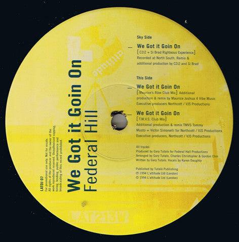 Federal Hill : We Got It Goin On (12", Promo)