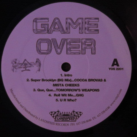 Various : Game Over (2xLP, Comp)