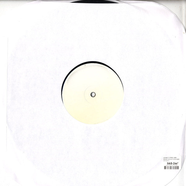 Levan Feat. Connie Abbe : Never Thought I'd Be Here (12", Promo, W/Lbl)