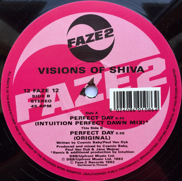 The Visions Of Shiva : Perfect Day (12")