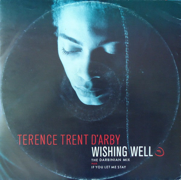 Terence Trent D'Arby : Wishing Well (The Darbinian Mix) (12")