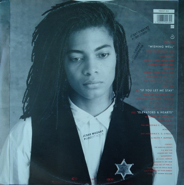 Terence Trent D'Arby : Wishing Well (The Darbinian Mix) (12")