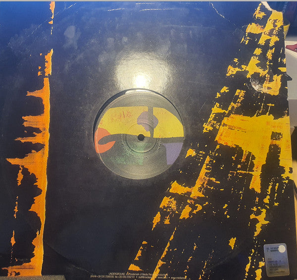 Ronnie Play : Dreaming In The Wind (12")