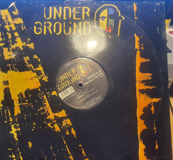 Ronnie Play : Dreaming In The Wind (12")