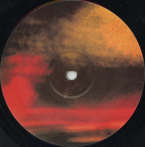 S. Bicknell* : Lost Recordings #2 - How Can We Know? (12")