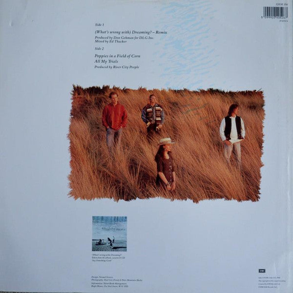 River City People : (What's Wrong With) Dreaming ? - Remix (12", Single)