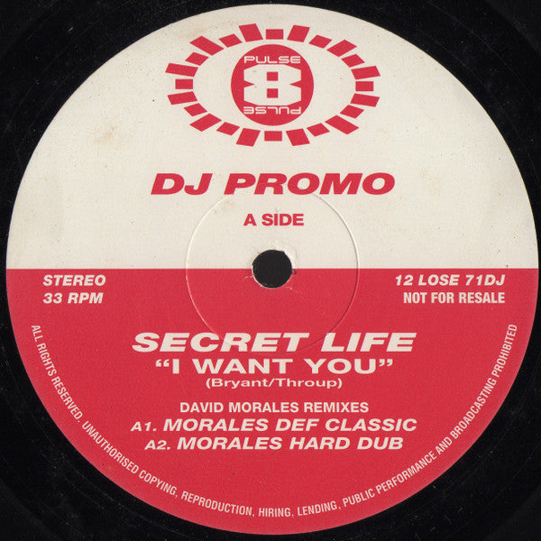 Secret Life : I Want You (12", Promo)