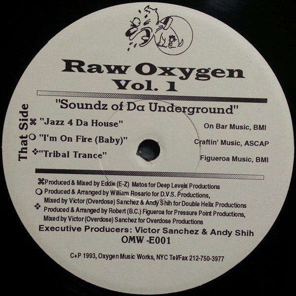 Various : Raw Oxygen Vol. 1 (Soundz Of Da Underground) (12")