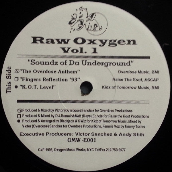 Various : Raw Oxygen Vol. 1 (Soundz Of Da Underground) (12")