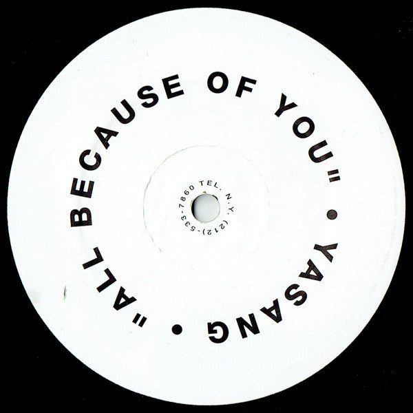 Yasang : All Because Of You (12")