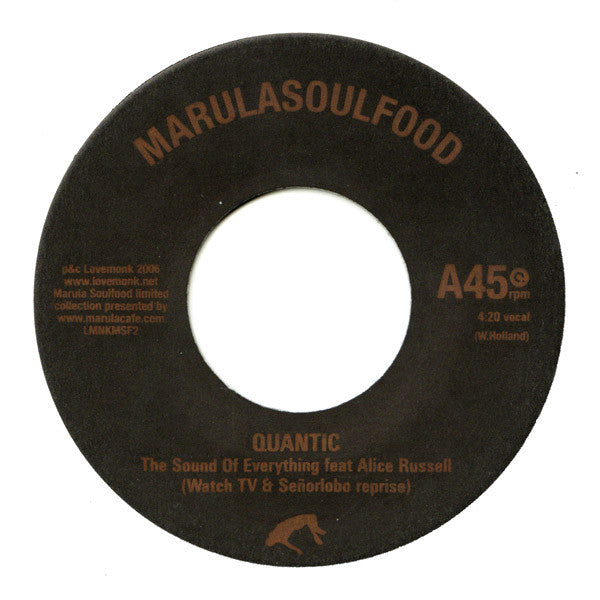 Quantic : The Sound Of Everything (7")