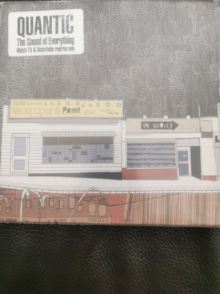 Quantic : The Sound Of Everything (7")