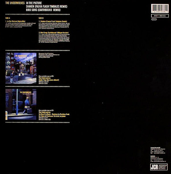 The Underwolves : In The Picture (12")