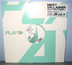 Mikey Gallagher : What Does It Mean? E.P' (12", EP)