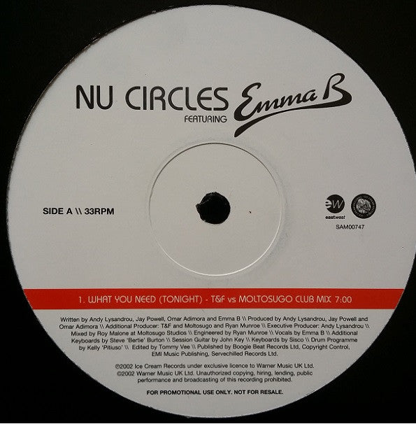 Nu Circles : What You Need (Tonight) (12", Promo)