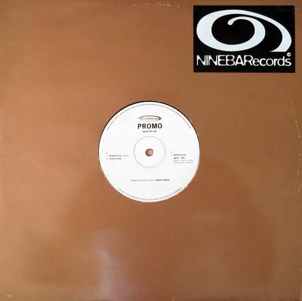 Sureshot : Mindstorm (12", Promo)