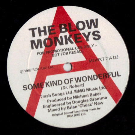 The Blow Monkeys : Some Kind Of Wonderful (12")