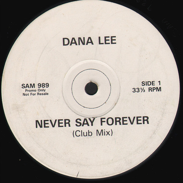 Dana Lee : Never Say Forever (12", Promo)