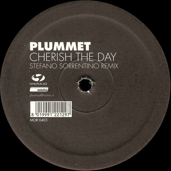 Plummet : Cherish The Day (12")