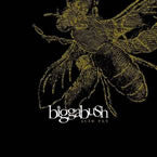Bigga Bush : Acid Fly (12")