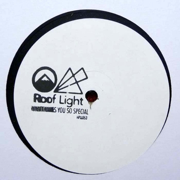 Roof Light : What Makes You So Special (12", W/Lbl, Sta)